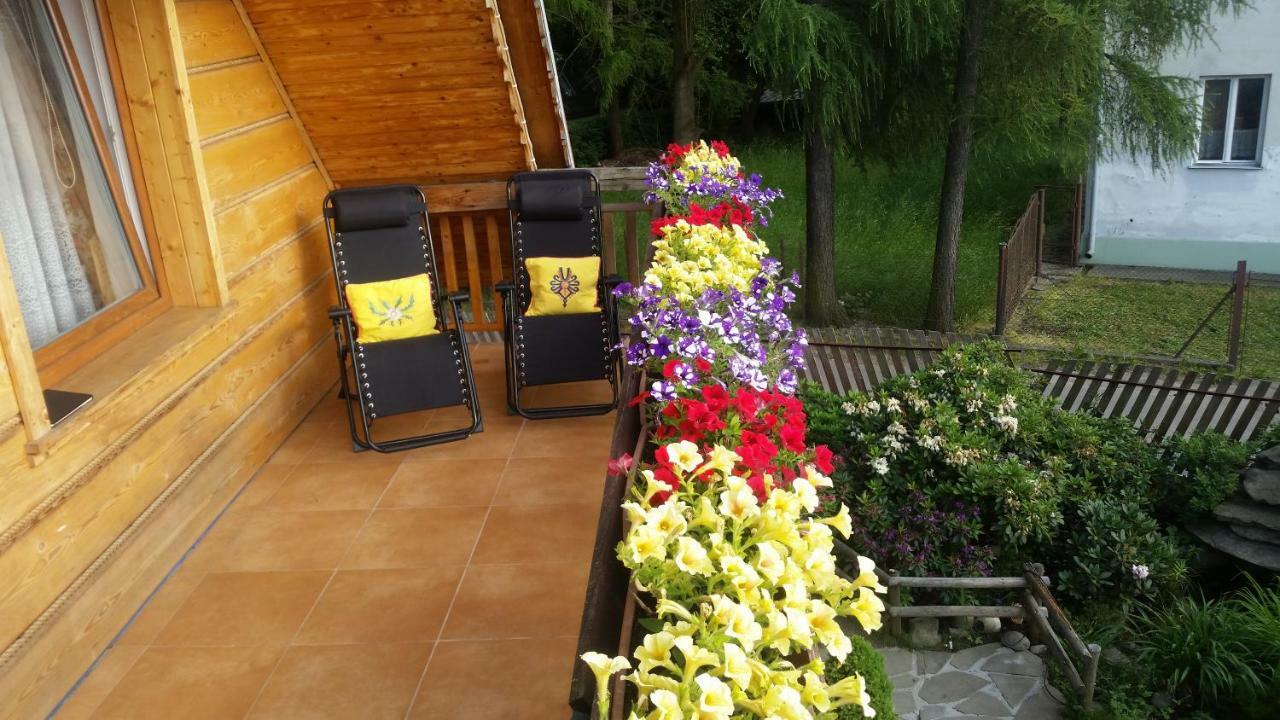 Willa Szarotka Rabka-Zdrój Exterior foto